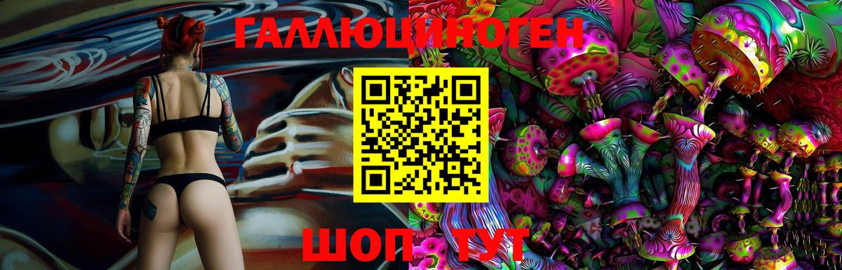 Ногинск  Галлюциногенные грибы GOLDEN TEACHER  где продают   Вход с VPN 